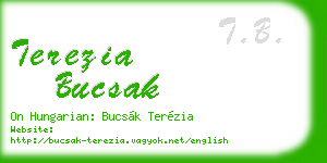 terezia bucsak business card